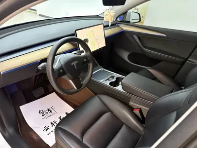 Tesla Model Y 2021, 82000 км, за 19858.4 USD - фото 9