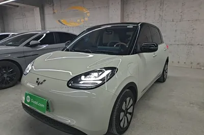 Wuling Bingo · 2024 год