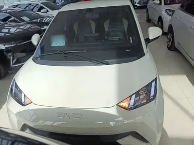 BYD Seagull 2024, 24200 км, за 7300.88 USD