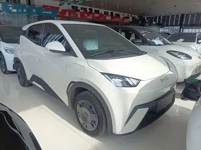 BYD Seagull 2024, 24200 км, за 7300.88 USD
