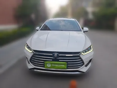 BYD Qin Pro New Energy