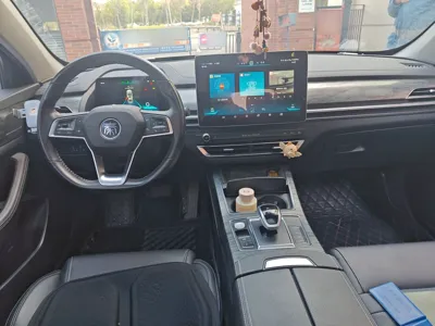 BYD Qin Pro New Energy