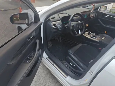 BYD Qin Pro New Energy