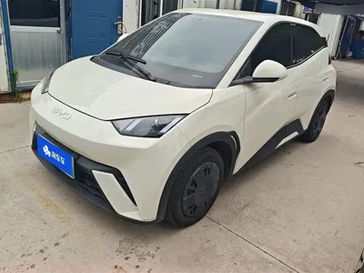 BYD Seagull · 2024 год