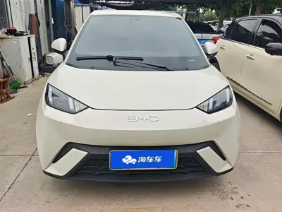 BYD Seagull 2024, 47500 км, за 7033.41 USD