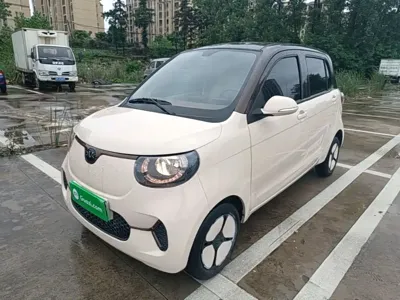 FERRAL EV