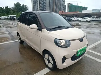 FERRAL EV