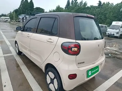 FERRAL EV