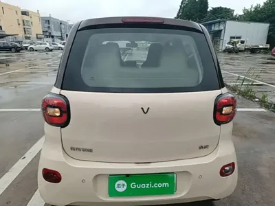 FERRAL EV