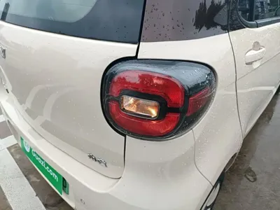 FERRAL EV