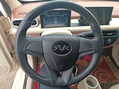 FERRAL EV