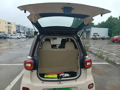 FERRAL EV