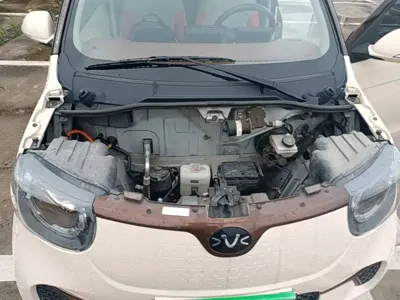 FERRAL EV