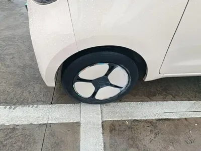FERRAL EV