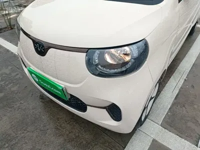 FERRAL EV