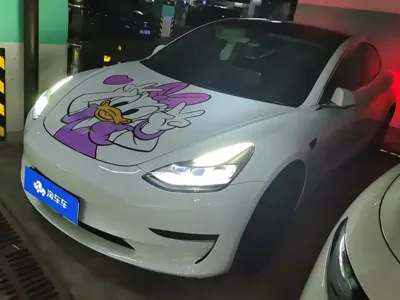 Tesla Model 3 · 2020 год
