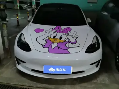 Tesla Model 3 2020, 67600 км, за 16891.96 USD