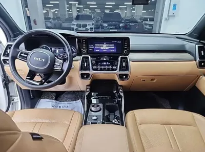 Kia Sorento 2023, 84727 км, за 16582.11 USD - фото 7