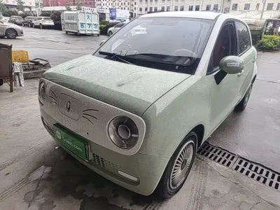 ORA Ora Black Cat 2021, 64900 км, за 5371.15 USD