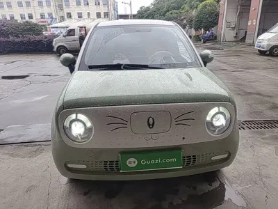 ORA Ora Black Cat 2021, 64900 км, за 5371.15 USD