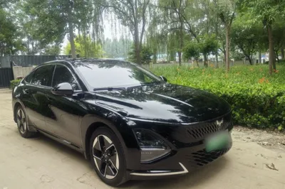 Wuling Xingguang 2023, 24900 км, за 10520 USD