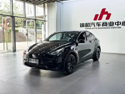 Tesla Model Y · 2024 год