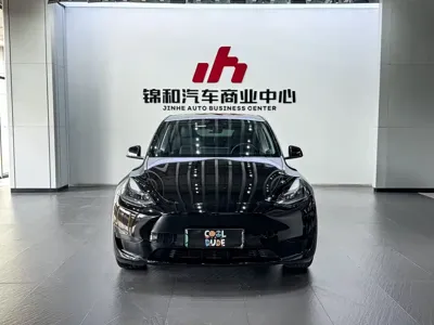Tesla Model Y 2024, 46000 км, за 27451.32 USD