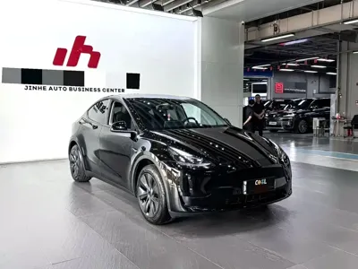 Tesla Model Y 2024, 46000 км, за 27451.32 USD