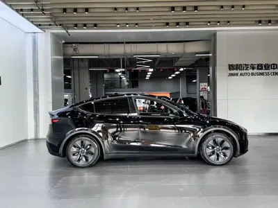 Tesla Model Y 2024, 46000 км, за 27451.32 USD - фото 8