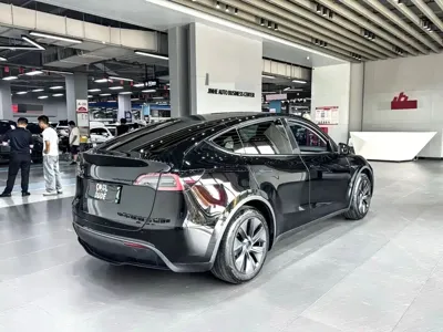 Tesla Model Y 2024, 46000 км, за 27451.32 USD - фото 9