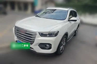 Haval H6 · 2017 год