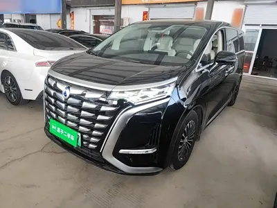 Denza Denza D9 2024, 72700 км, за 32455.91 USD