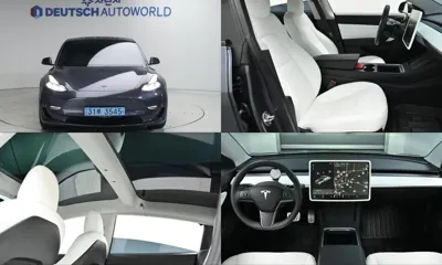 Tesla Model 3 · 2021 год
