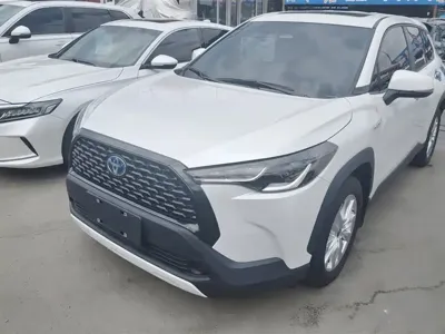 Toyota Corolla Cross · 2024 год
