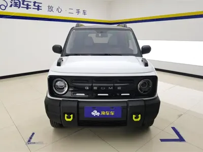 Galaxy Panda 2024, 9100 км, за 5212.83 USD