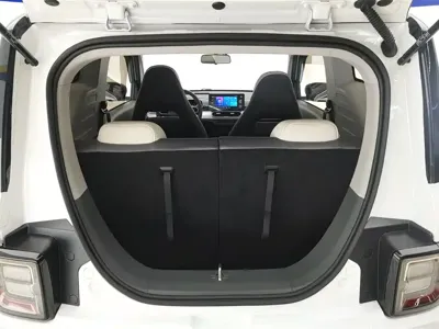Galaxy Panda 2024, 9100 км, за 5212.83 USD