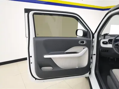 Galaxy Panda 2024, 9100 км, за 5212.83 USD - фото 7