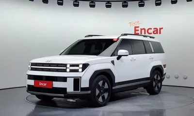Hyundai Santafe · 2024 год