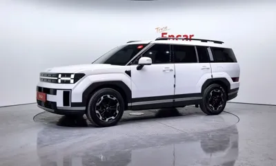 Hyundai Santafe · 2024 год