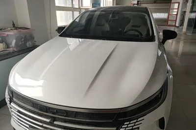 BYD Destroyer 05