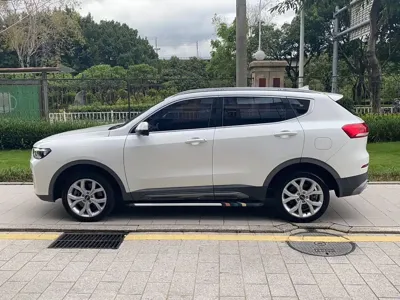 Haval H6 2020, 50000 км, за 6167.97 USD