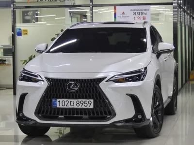 Lexus NX · 2025 год