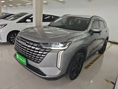 Haval H6 · 2024 год