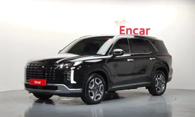 Hyundai Palisade · 2023 год