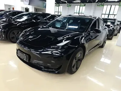 Tesla Model 3 · 2021 год