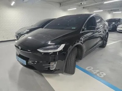 Tesla Model X · 2019 год