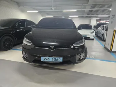 Tesla Model X 2019, 84710 км, за 45907.39 USD