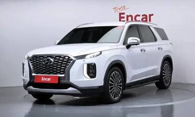 Hyundai Palisade · 2020 год
