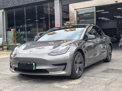 Tesla Model 3 · 2023 год