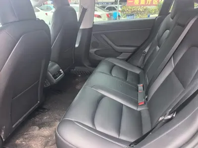 Tesla Model 3 2023, 73000 км, за 21329.9 USD